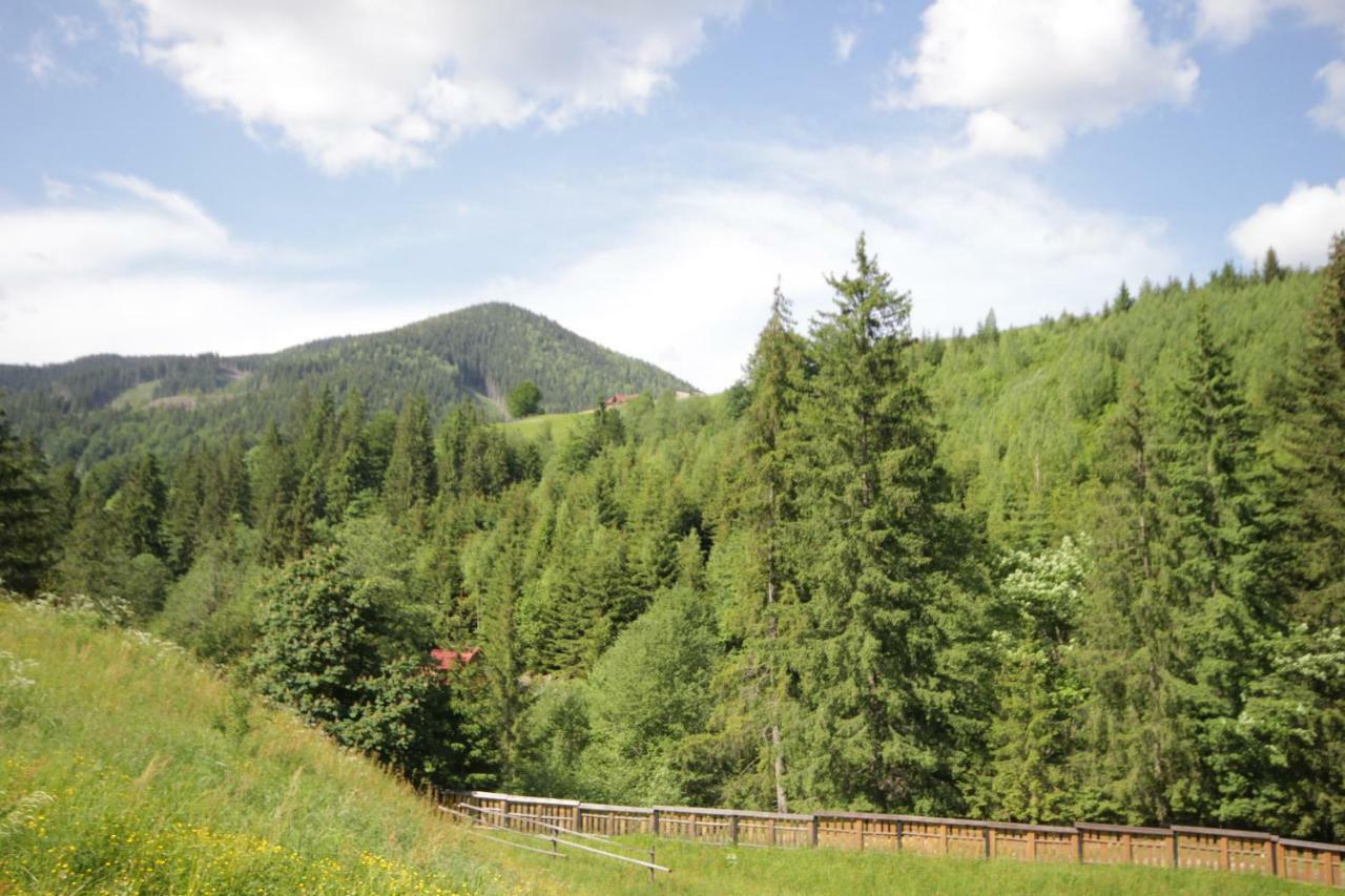 Ozdoba Villa Verkhovyna Exterior foto